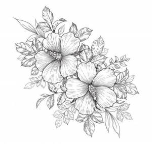 Ручной рисунок связки с гибискусом цветы и различные листья изолированы на белом