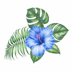 Цветы гибискуса и листья пальмы