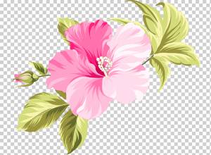 розовый цветок гибискуса арт, цветок гавайи, цветок, акварельная живопись, травянистое растение, декупаж png