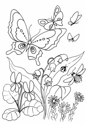 Раскраска «Бабочки и цветочки»