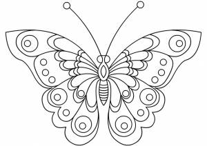 Раскраска Изысканные крылья бабочки