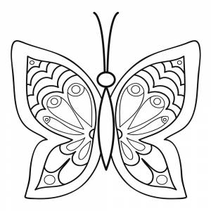 Раскраска Бабочка для маленьких