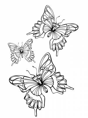 3 бабочки