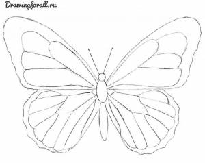 как нарисовать красивую бабочку карандашом
