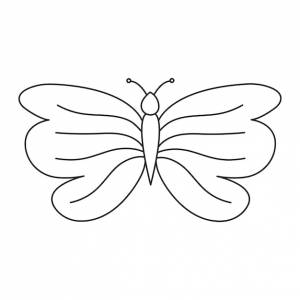 Векторный изолированный рисунок бабочки