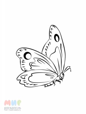 Раскраска Бабочка крылышками помахала