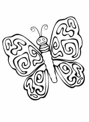 Раскраски Раскраска простая бабочка Насекомые, Раскраска бабочка с прожилками Насекомые
