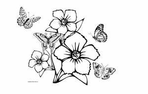 Раскраски цветы и бабочки