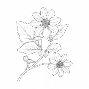 Черно-белый контур векторной иллюстрации раскраски страницы книги для взрослых и детей цветок георгин