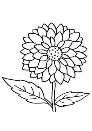 Трафареты георгины в вазе