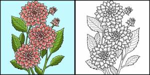 Цветок георгин раскраски страницы цветные иллюстрации