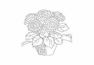 DataLife Engine > Версия для печати > Раскраска осенние цветы