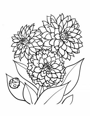 DataLife Engine > Версия для печати > Раскраска осенние цветы