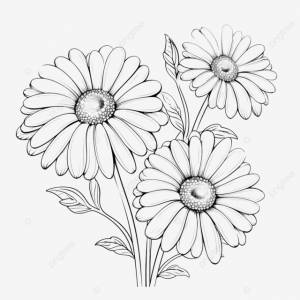 Раскраска весенний цветок иллюстрация цветок белой ромашки PNG , весна, цветок, цветочный PNG рисунок для й загрузки