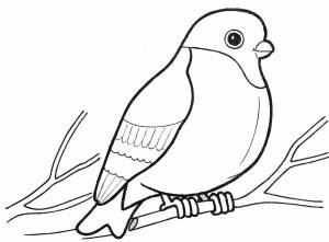 Раскраски Снегирь на ветке рябины для детей шаблоны