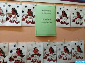 Конспект занятия по рисованию в старшей группе «Снегирь на ветке рябины»