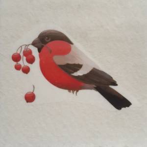 Трафарет снегирь на ветке рябины