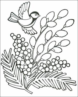 Раскраски снегирь, poisk