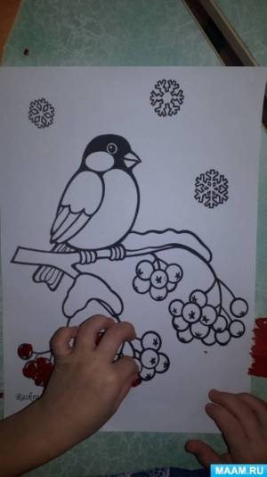 НОД по аппликации «Снегирь на ветке рябины» в подготовительной группе
