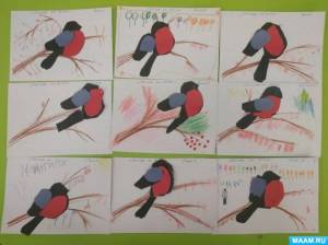 Занятие в старшей группе по аппликации «Снегирь на ветке рябины»