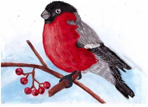 Рисунок на тему снегири на ветке рябины зимой