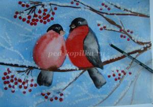 Учимся рисовать снегирей на ветке рябины