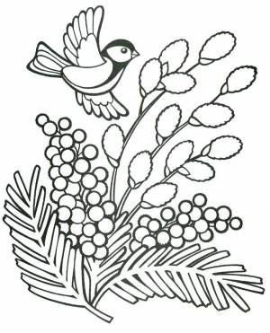 Раскраски для детей