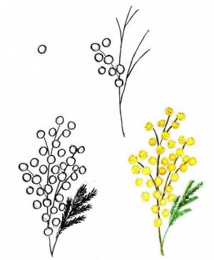 учимся рисовать цветы