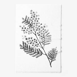 Постер «Мимоза»