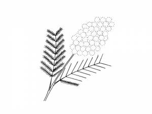 Презентация к уроку по теме