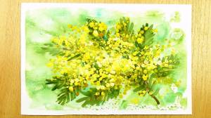 Как нарисовать Мимозу легко, поэтапно, гуашью