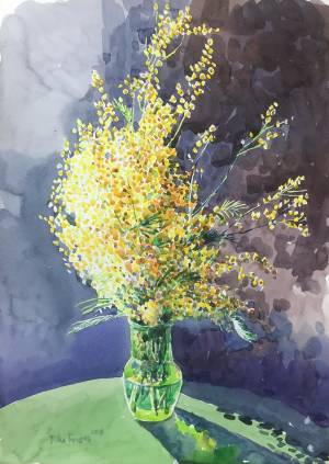 Иллюстрация Мимоза