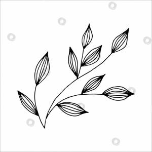 Фантастическая причудливая веточка с листьями, нарисованная от руки, книжка- раскраска с элементами каракулей для детей и взрослых