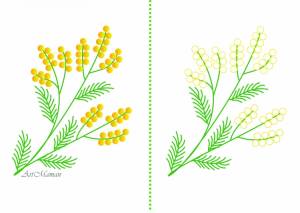 Мимоза раскраска для детей