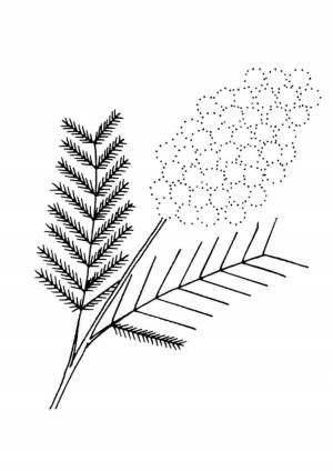 Трафареты ваза мимоза