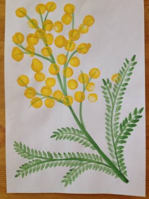 Мимоза раскраска для детей