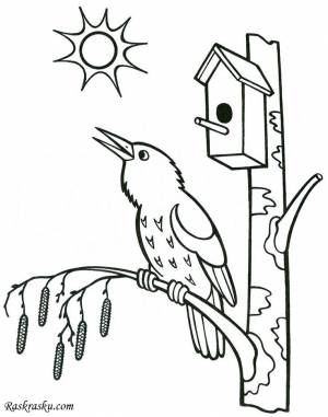 Раскраска Скворец и скворечник
