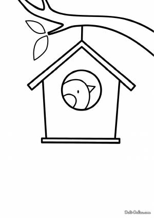 Раскраска Скворец в скворечнике