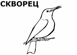 Раскраски Перелётных птиц