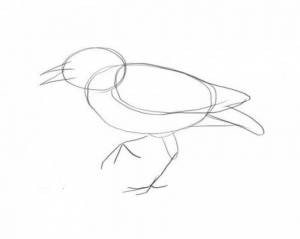 Конспект занятия по художественно-эстетическому развитию по теме «Перелетные птицы