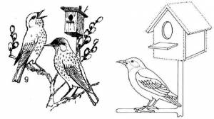 Раскраски Скворец