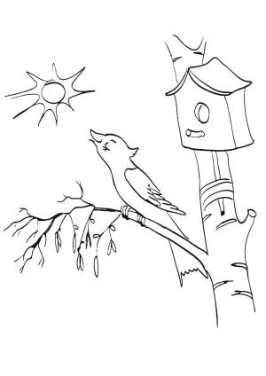 скворец  для детей