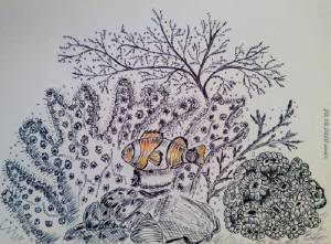 рисунки цветными карандашами море