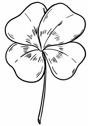 Четырёхлистный клевер