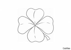 Раскраска Четырехлистный клевер