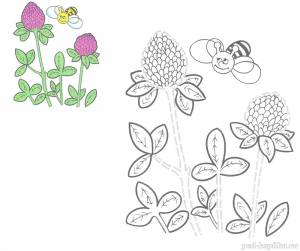 Раскраска для детей