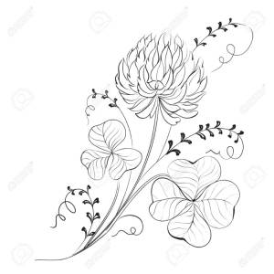 Клевер черно белый рисунок