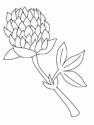 Раскраски для малышей