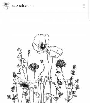 Полевые цветы раскраска для детей