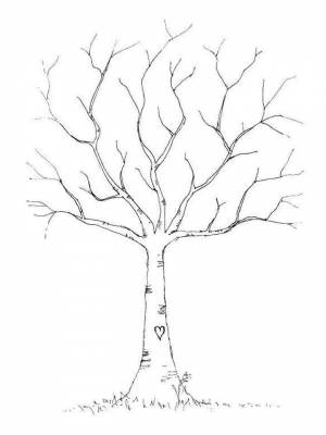 Картинка Дерево без листьев  в формате  онлайн